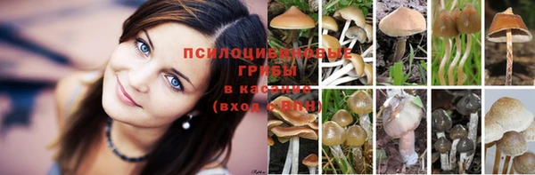 винт Майский