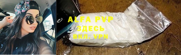 молекула духа Алексеевка