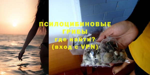 хмурый Алзамай