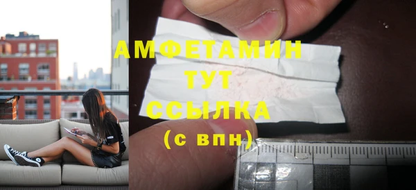 хмурый Алзамай