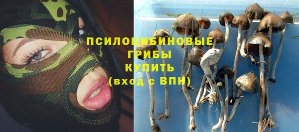 молекула духа Алексеевка