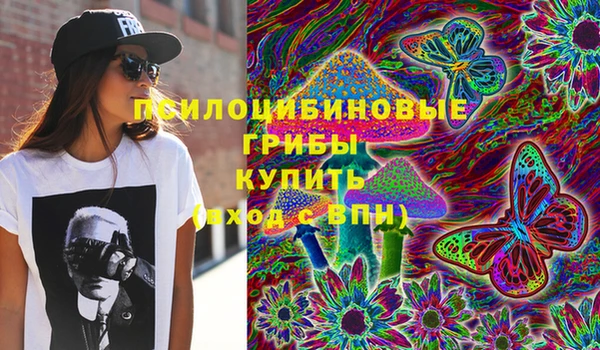 первитин Алексин