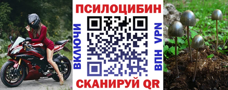 Псилоцибиновые грибы прущие грибы  Харовск 